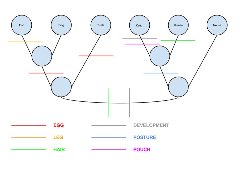 minimizing tree